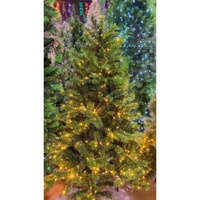 THC2346 was SO910670 9ft  Carolina  LED 1700 Warm White &amp; Multi Lights. 2174 Tips.