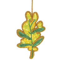Golden Wattle Tree
