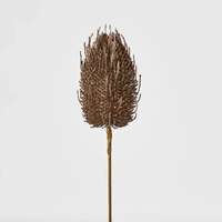 Copper Banksia 63cm