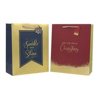 Sparkle &amp; Shine Sm Gift Bags