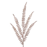 Champagne Fern
