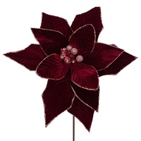 Burgundy Velvet Poinsettia