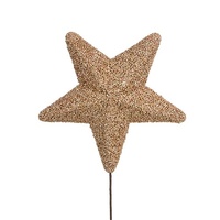 25cm Champagne Sparkly Star