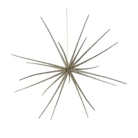48cm Champagne Glitter Sputnik