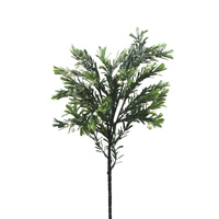 Mistletoe Bunch