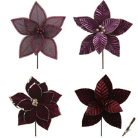 Poinsettias Plum 20cm