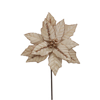 Champagne Velvet Poinsettia 30cm