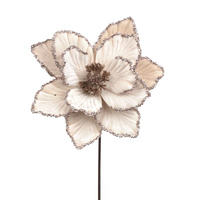Champagne Magnolia 27cm