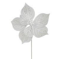 White Lace Poinsettia 27cm
