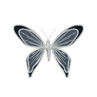Navy Butterfly 18x19cm