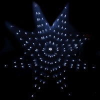 LED Giant Star Net White