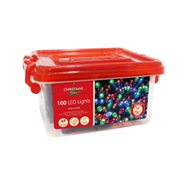 100 LED Fairy Lights Multi