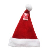 Santa Hat Kids