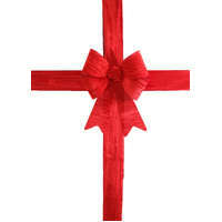 3D Bow &amp; Sash Set