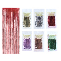 Tinsel Curtain 1 x 2m