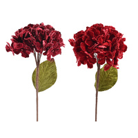 Velvet Hydrangea