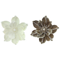 Coffee Cream Magnolia with Clip 