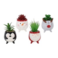 Ceramic Potted Succulent 10cm Asst..