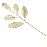 Five Leaf Spray Champagne