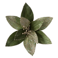 Sage and Champagne Poinsettia