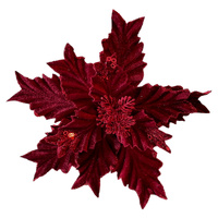 Poinsettia Burgundy