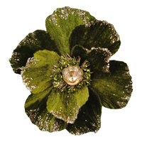 Magnolia Sage