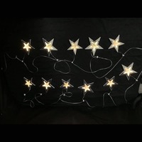 5m Infinity Garland  - Indoor Only