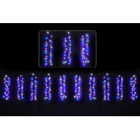 Cluster Cracker Lights - Enchanted