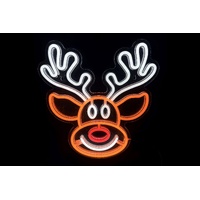 Cute Reindeer!
