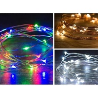 LED Starry Lights 100pc 10m