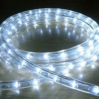 LED Ropelight 9m Flash White..