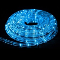 9m Ropelight - Blue 
