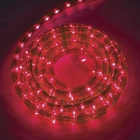 9m Ropelight - Red 