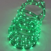 9m Ropelight - Green