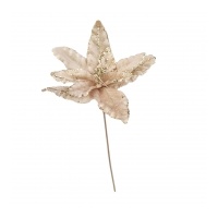 Champagne Flower 30x72cm