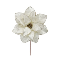 Magnolia White/Gold 30cm