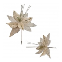 Champagne Poinsettia 40x32cm