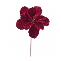 Red Magnolia 27x22cm
