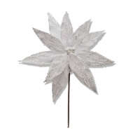 White Poinsettia 40x42cm