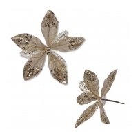 Champagne Poinsettia 20x20cm