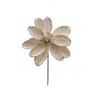 Champagne Poinsettia 30x24cm