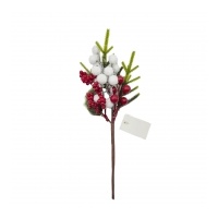 Berry Pick