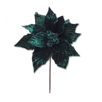 Green Poinsettia 50x38cm