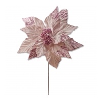 Pink Poinsettia 50x38cm