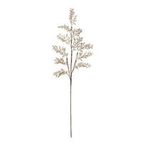 Cedar Sray Gold 78cm