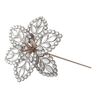 Jewelled Champagne Poinsettia