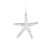 Starfish - Acrylic 