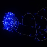 300 LED Fairy Lights - Blue