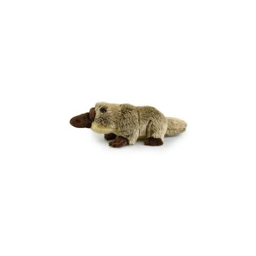 18cm Platypus