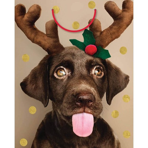 Xmas Bag Large Dog